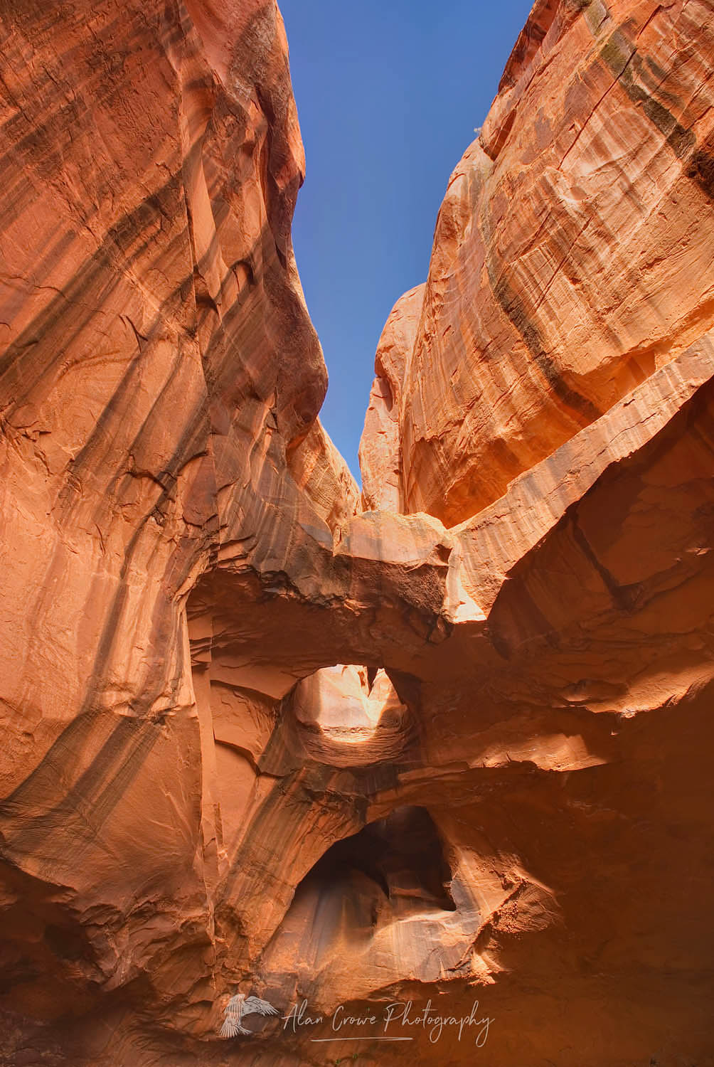 The Golden Cathedral of Neon Canyon, Grand Staircase Escalante National Monument Utah #30743