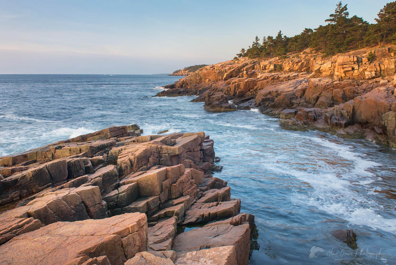 Colorful pink granite of Otter Point glows in the morning light, Acadia National Park Maine #22832