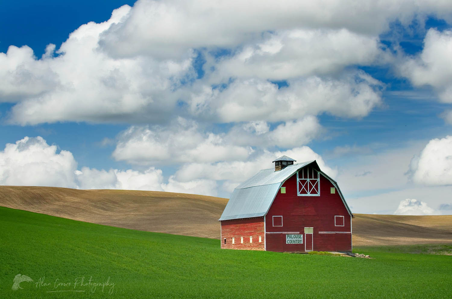 Red barn amidst green fields of wheat in the Palouse region of Washington State #45040