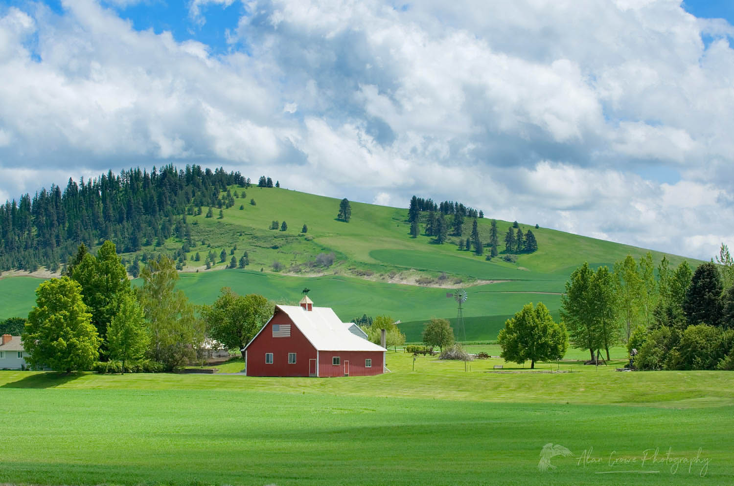Red barn set amidst the rolling hills of green wheat fields, the Palouse region of the Inland Empire of Washington #51705