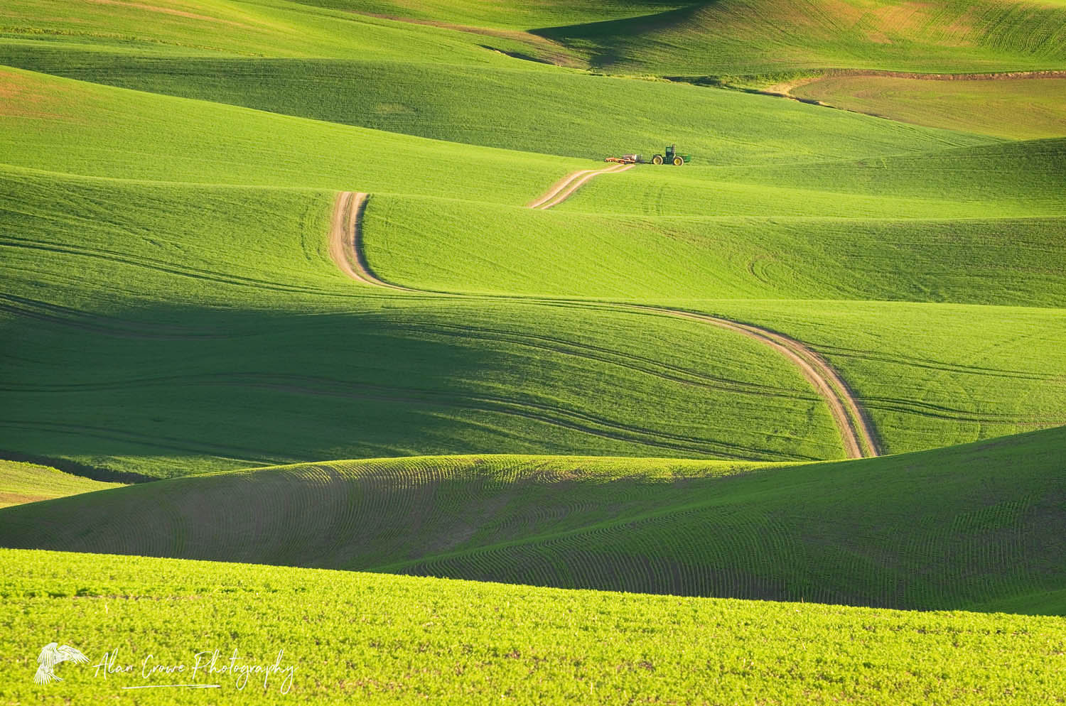 Road running through rolling hills of green wheat fields in the Palouse region of the Inland Empire of Washington #51507