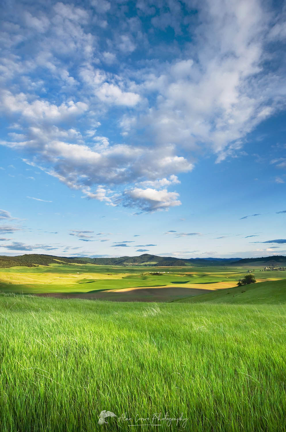 Clearing storm clouds in evening over a grassy meadow in the Palouse region of the Inland Empire of Washington #51742