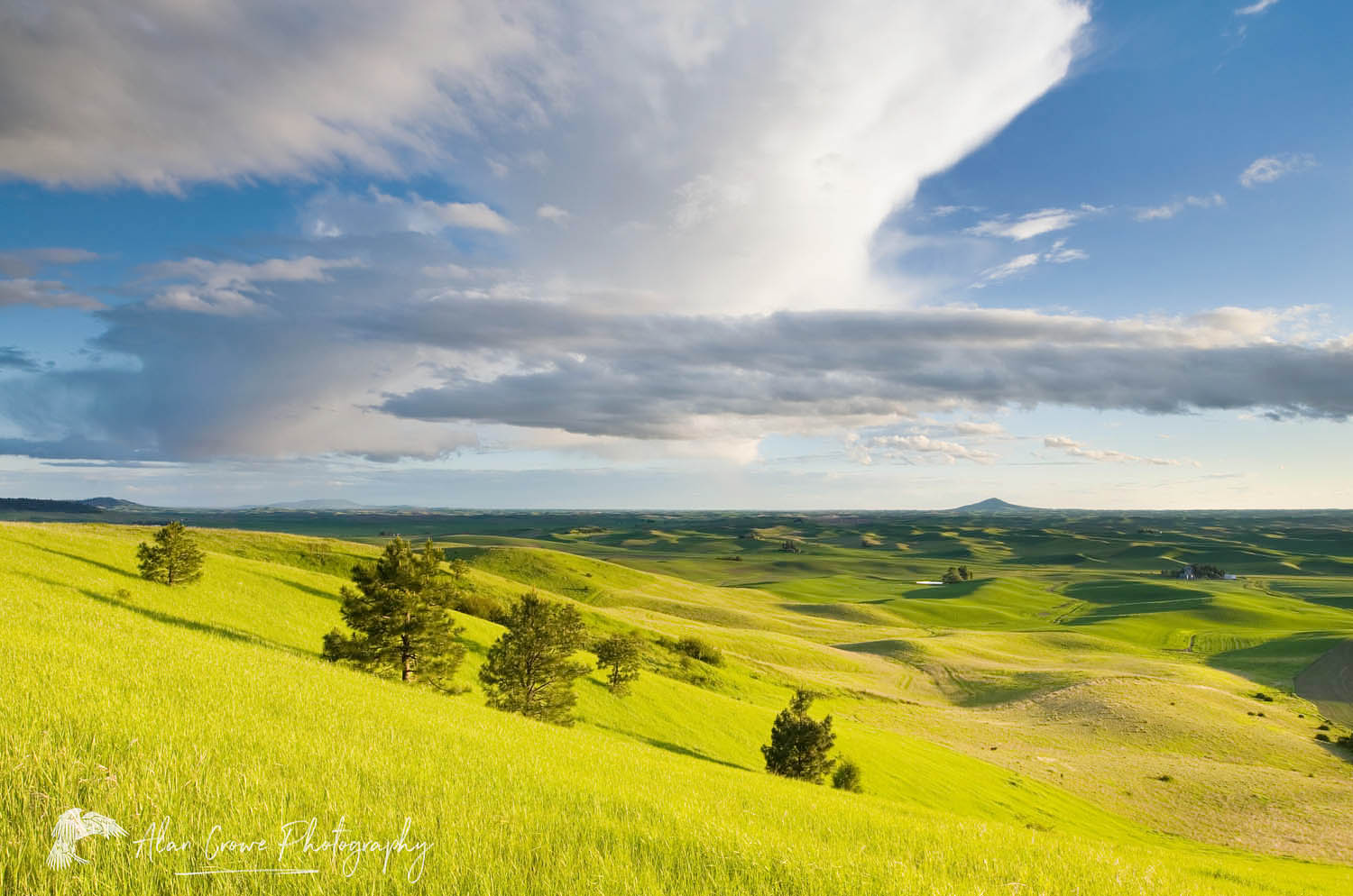 Clearing storm clouds in evening over a grassy meadow in the Palouse region of the Inland Empire of Washington #51748