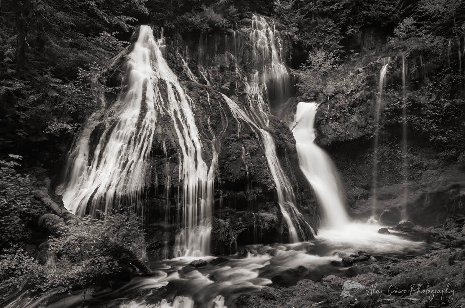 Panther Creek Falls Washington #51383bw