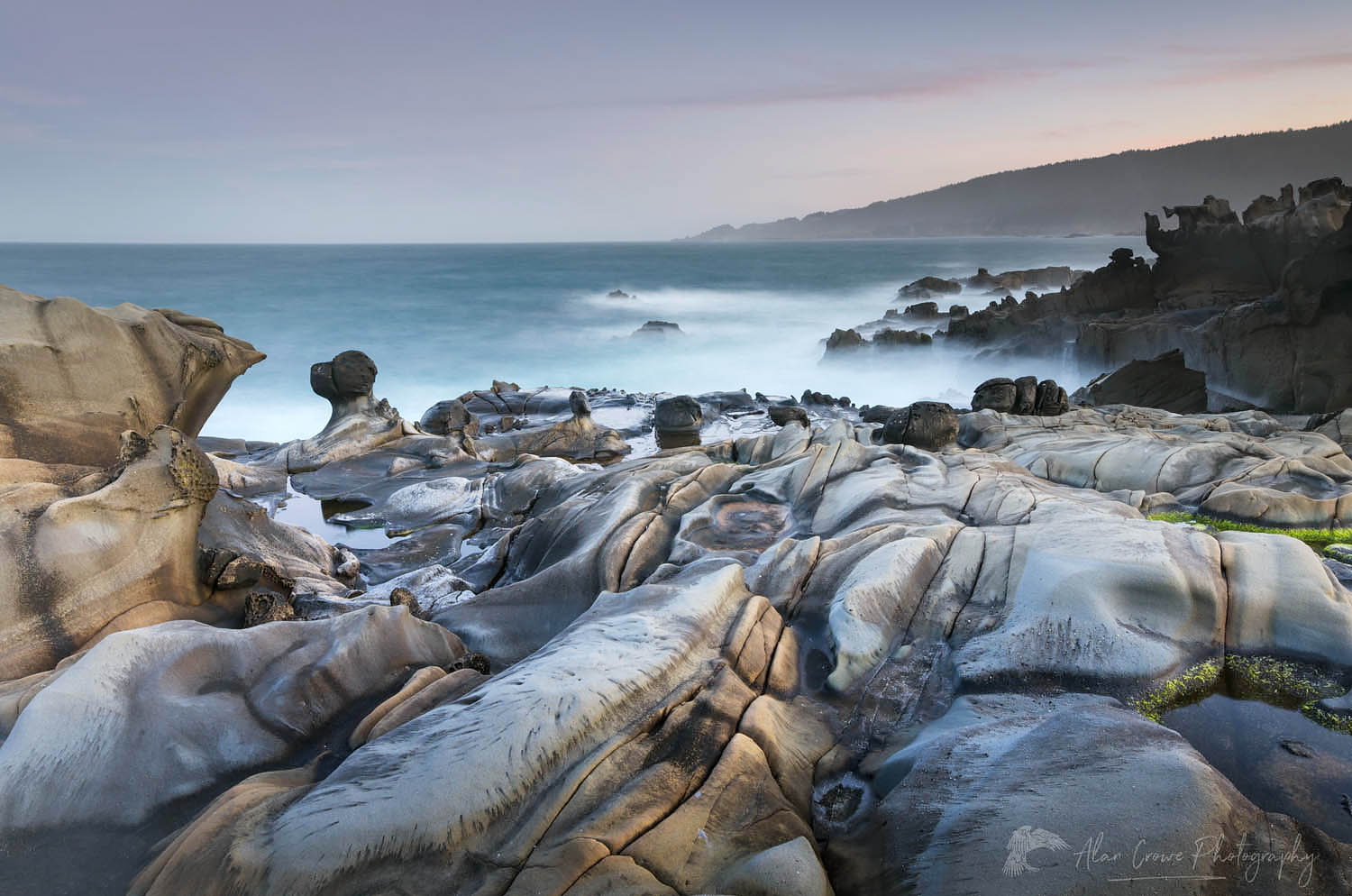 Salt Point's Rugged Charm: Your Northern California Coastal Escape