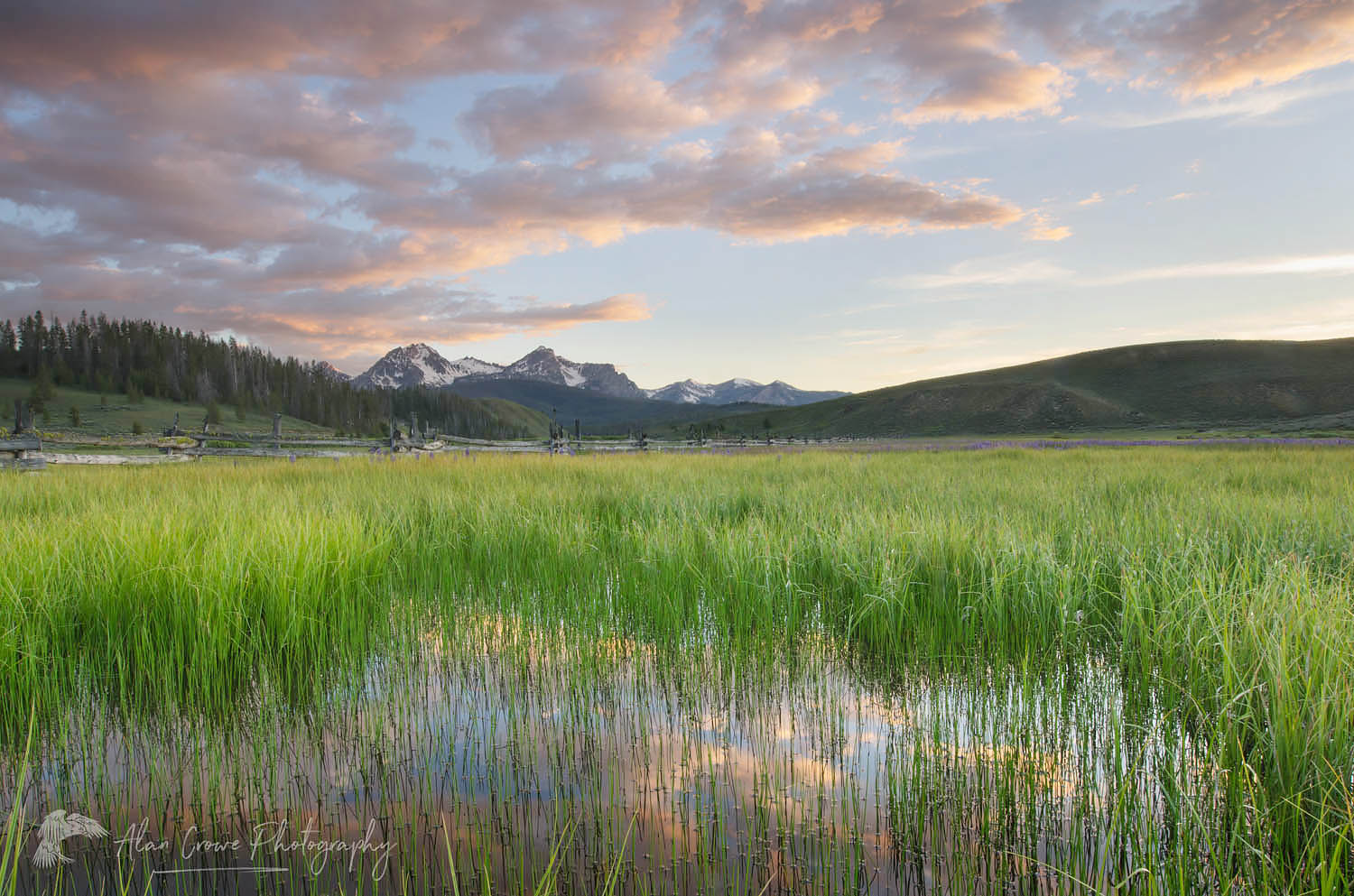 Wetlands in Stanley Basin, Sawtooth Mountains Idaho #56066