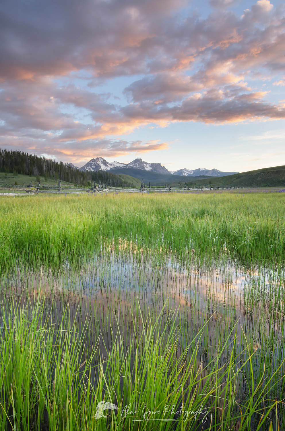 Wetlands in Stanley Basin, Sawtooth Mountains Idaho #56067