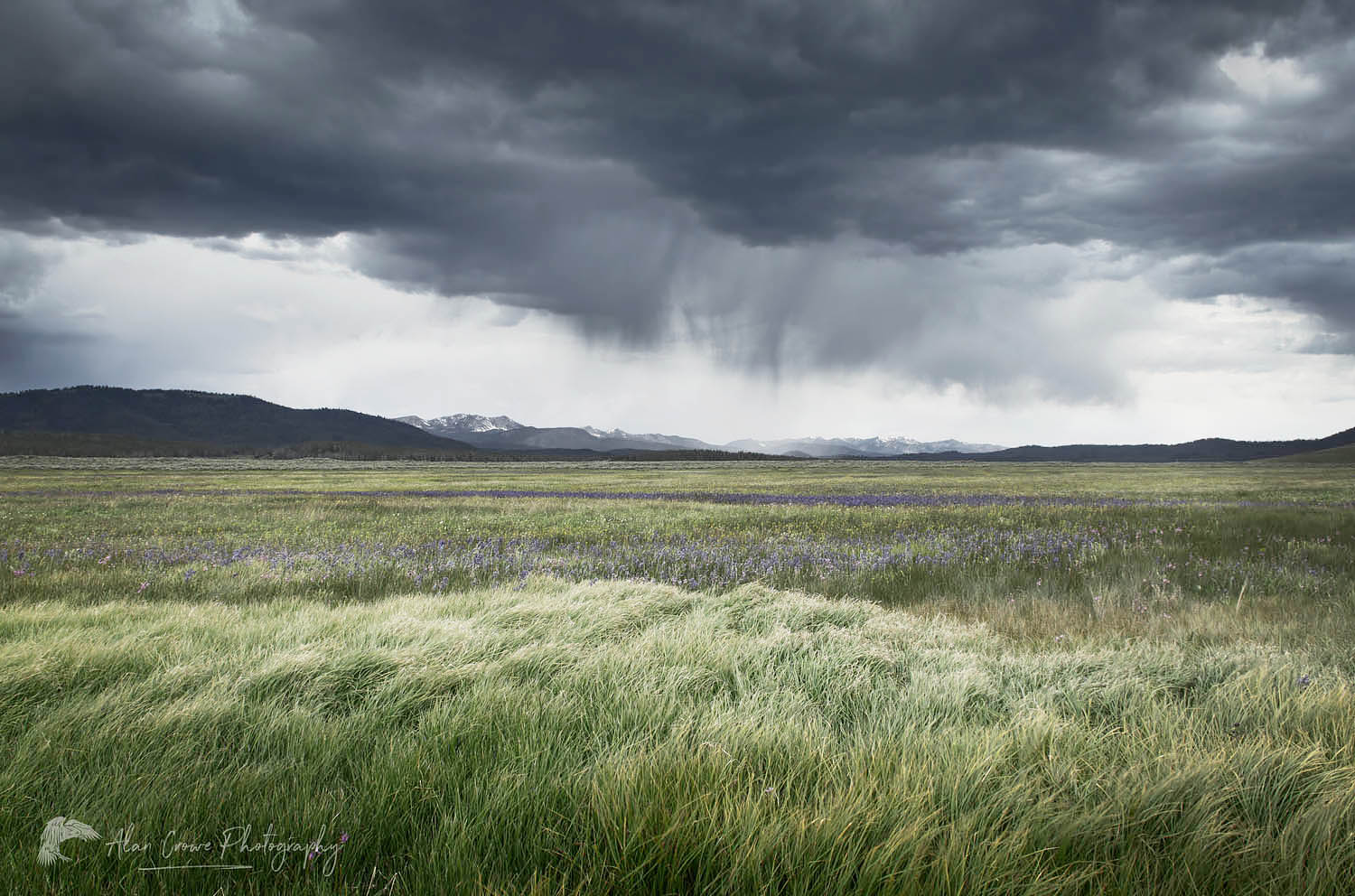 Approaching storm, Sawtooth Mountains Idaho #55955r