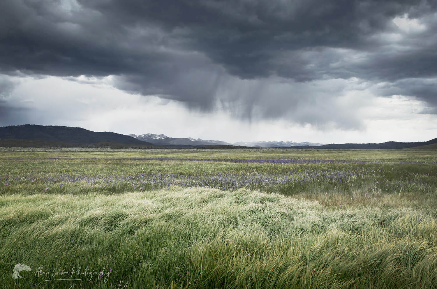 Approaching storm, Sawtooth Mountains Idaho #55955r