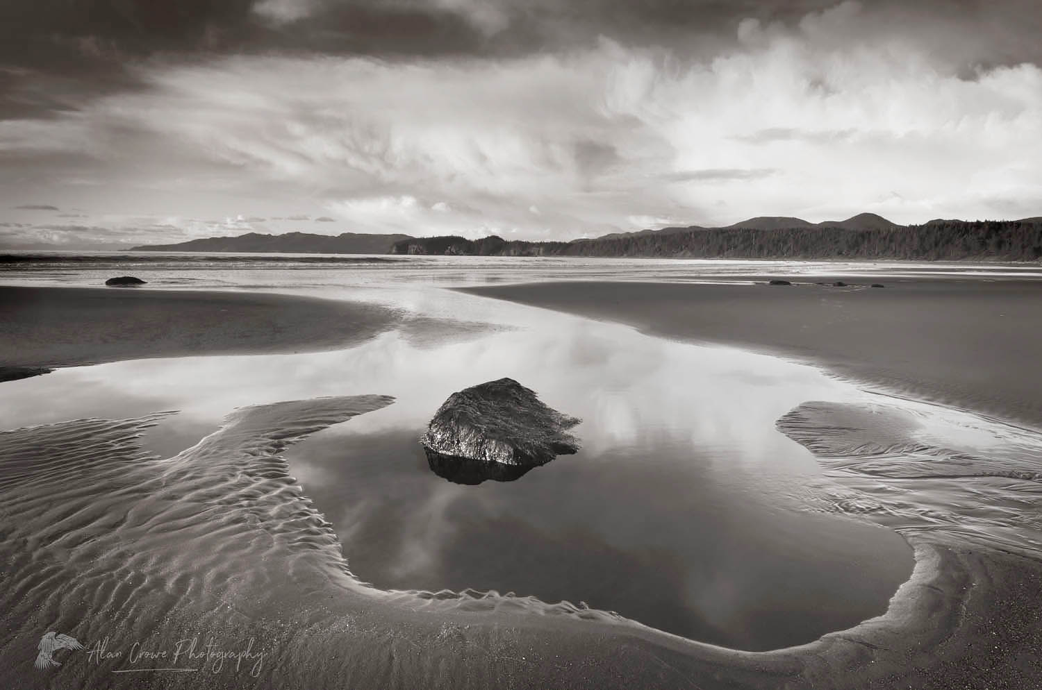 Shi Shi Beach at low tide, Olympic National Park Washington #47287