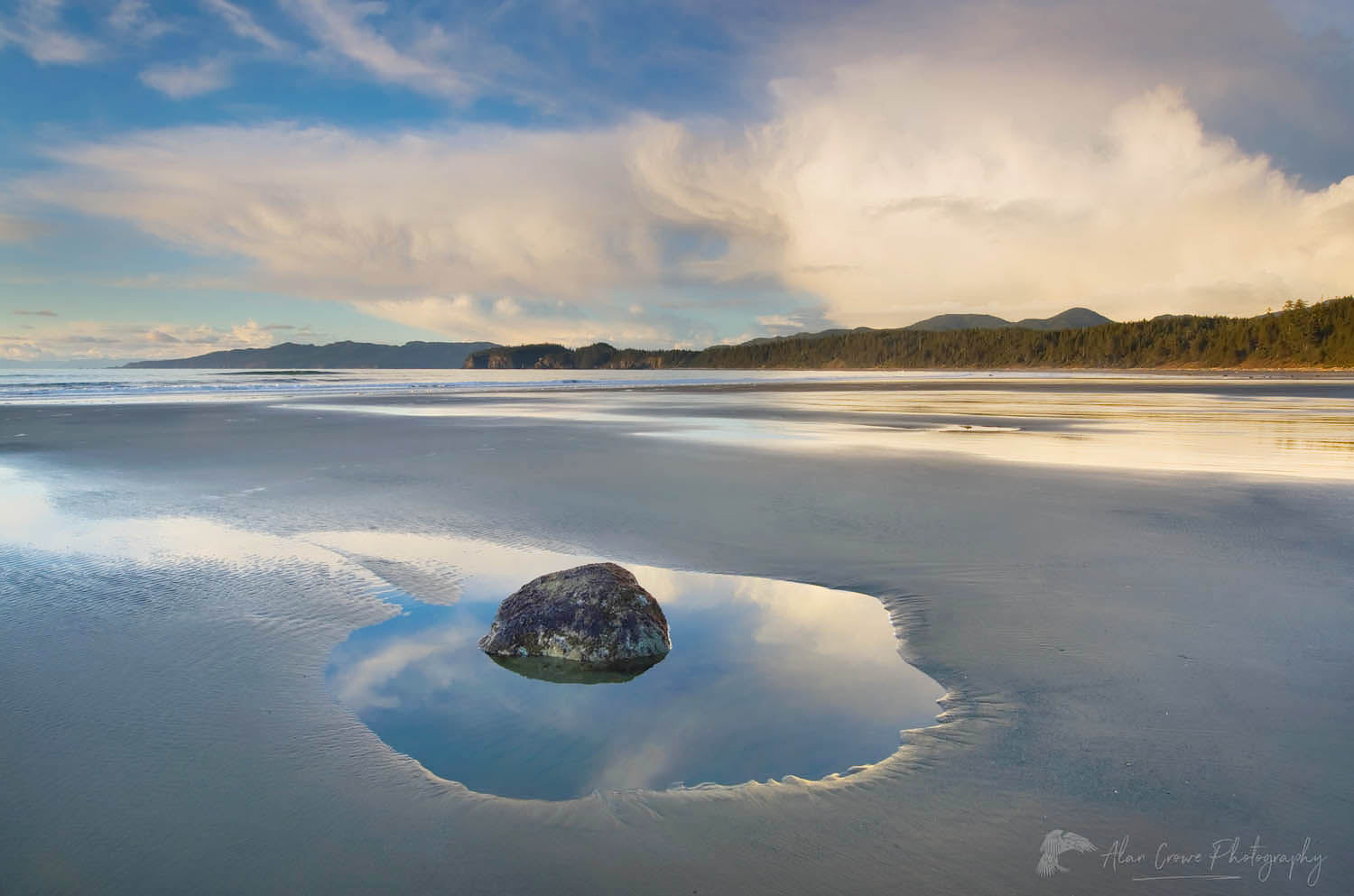 Shi Shi Beach at low tide, Olympic National Park Washington #47291