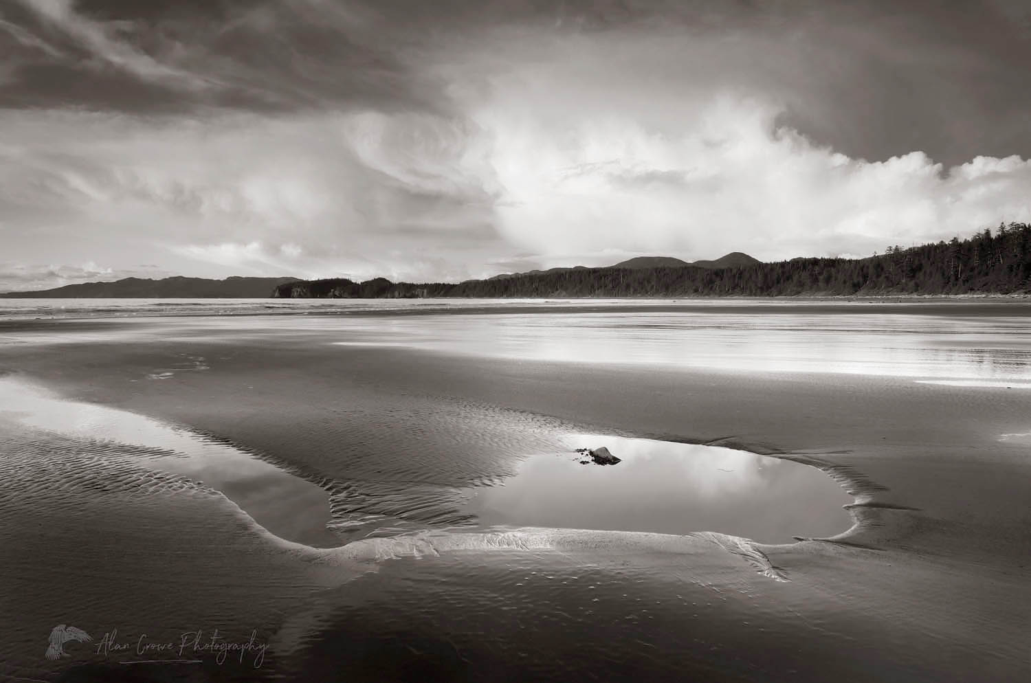 Sunset on Shi Shi Beach at low tide, Olympic National Park Washington #47293bw