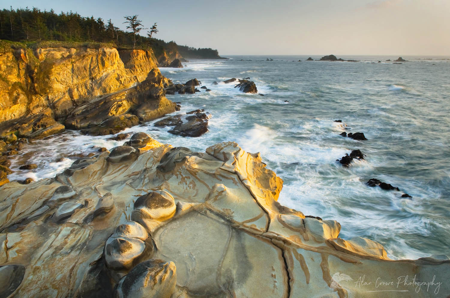 Shore Acres State Park on the Oregon Coast. The sandstone cliffs are studded with whimsical mineral concretions. #48705