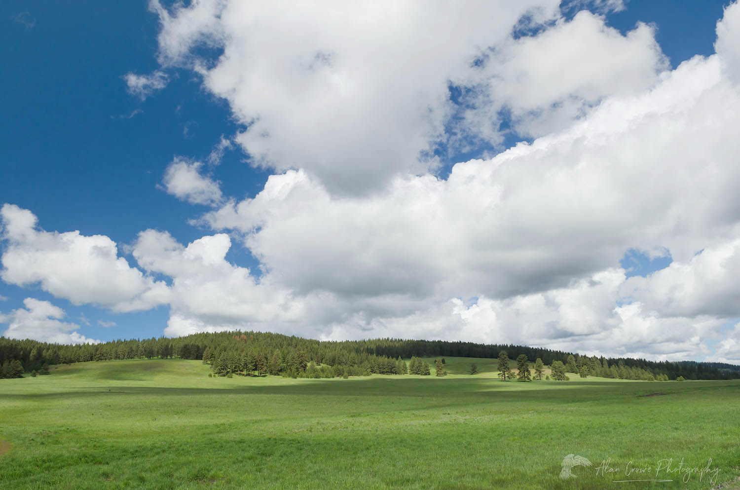 Puffy clouds above green hillside, Wallowa Valley, Oregon #61213