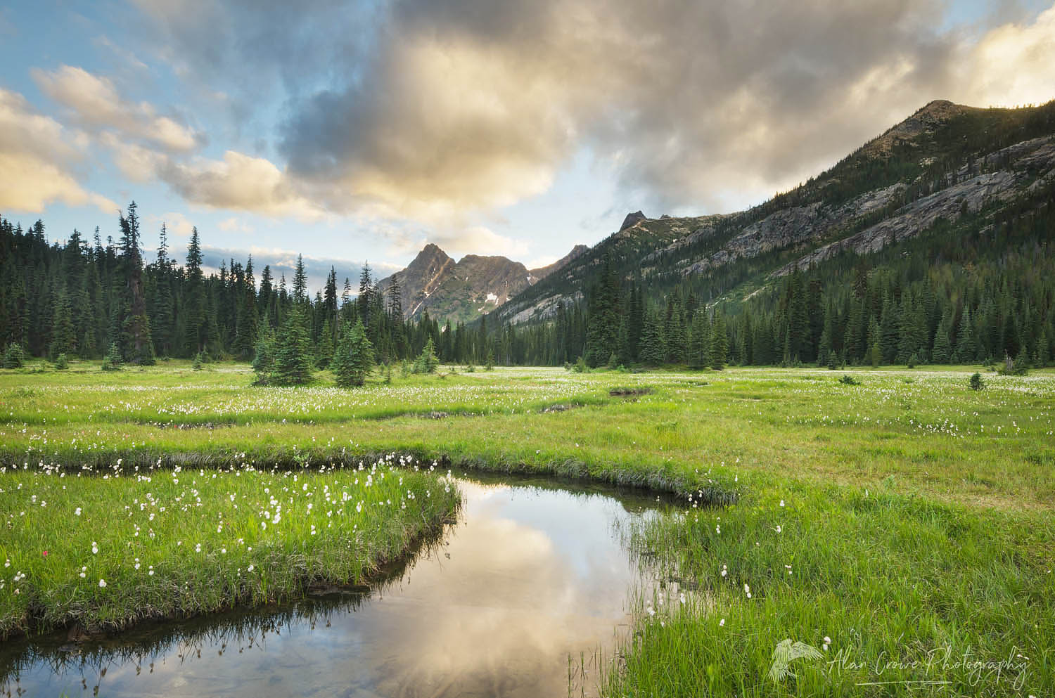 Evening clouds reflected in waters of State Creek, Washington Pass meadows, North Cascades #61341