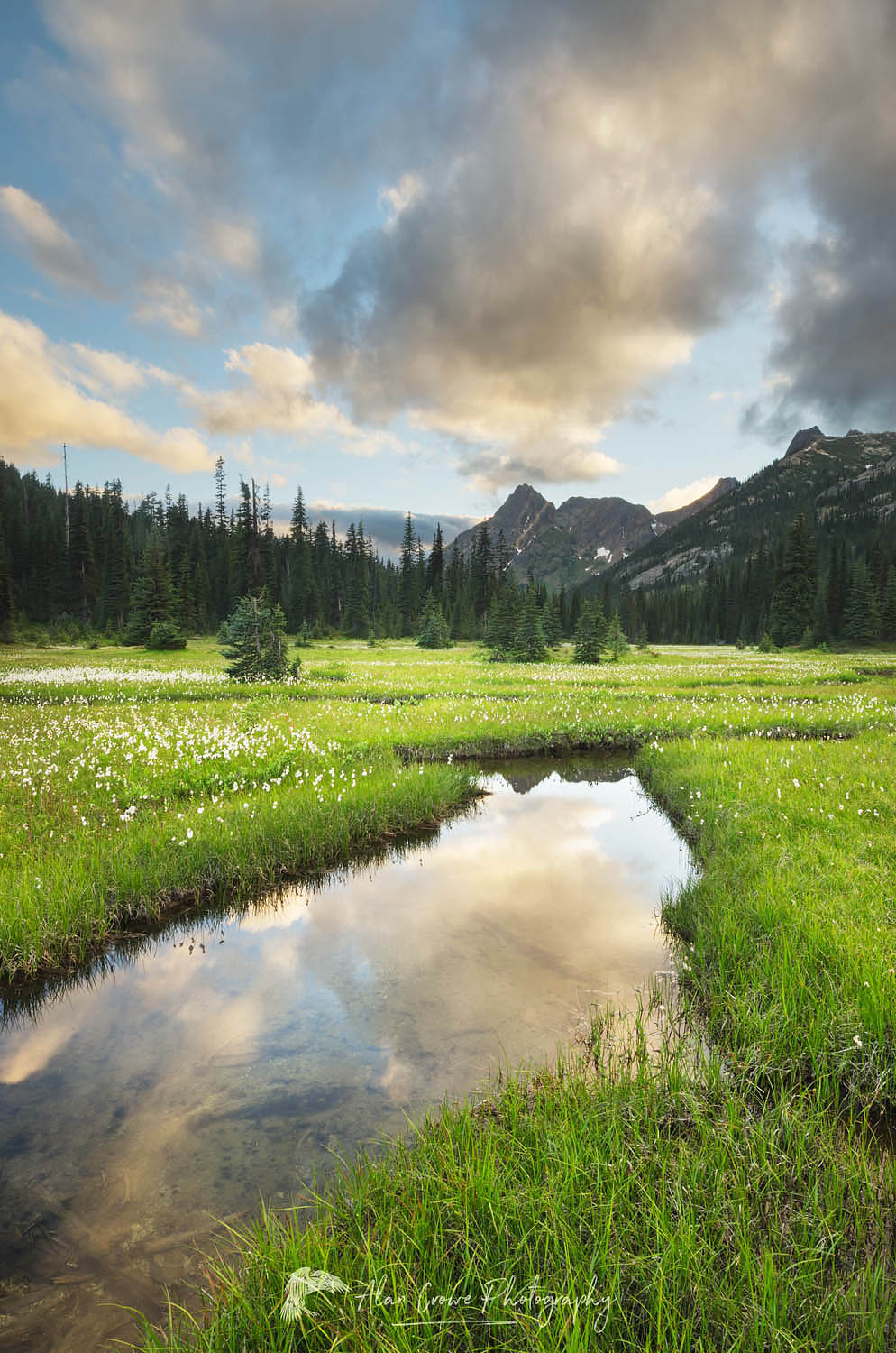 Evening clouds reflected in waters of State Creek, Washington Pass meadows, North Cascades #61343