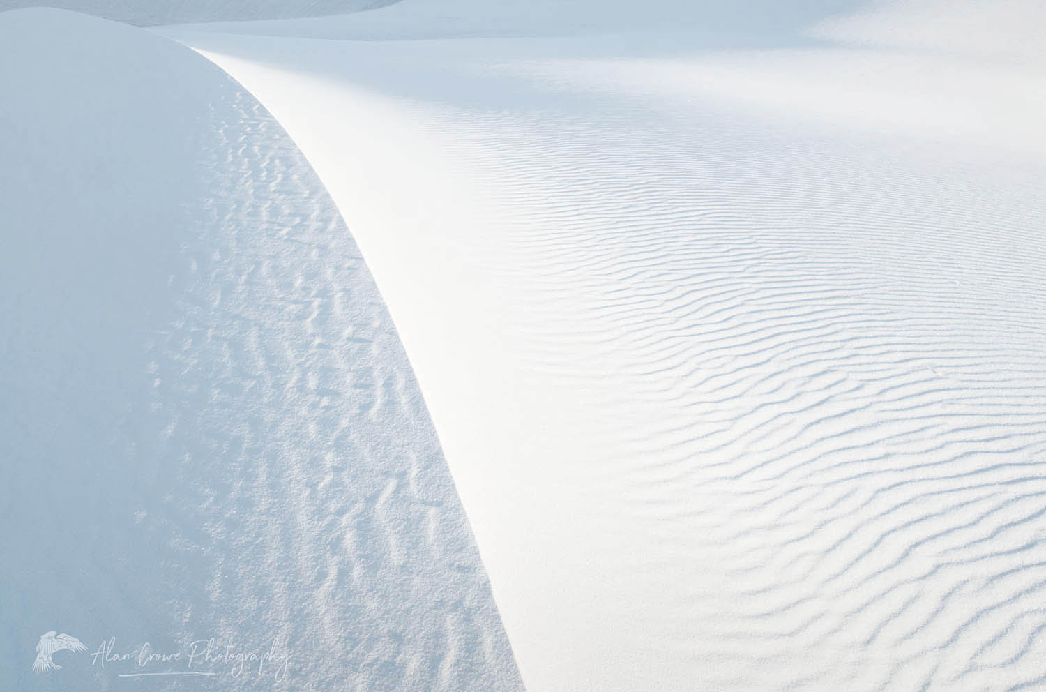 Abstract patterns and ripples on gypsum sand dunes, White Sands National Park New Mexico #57118r