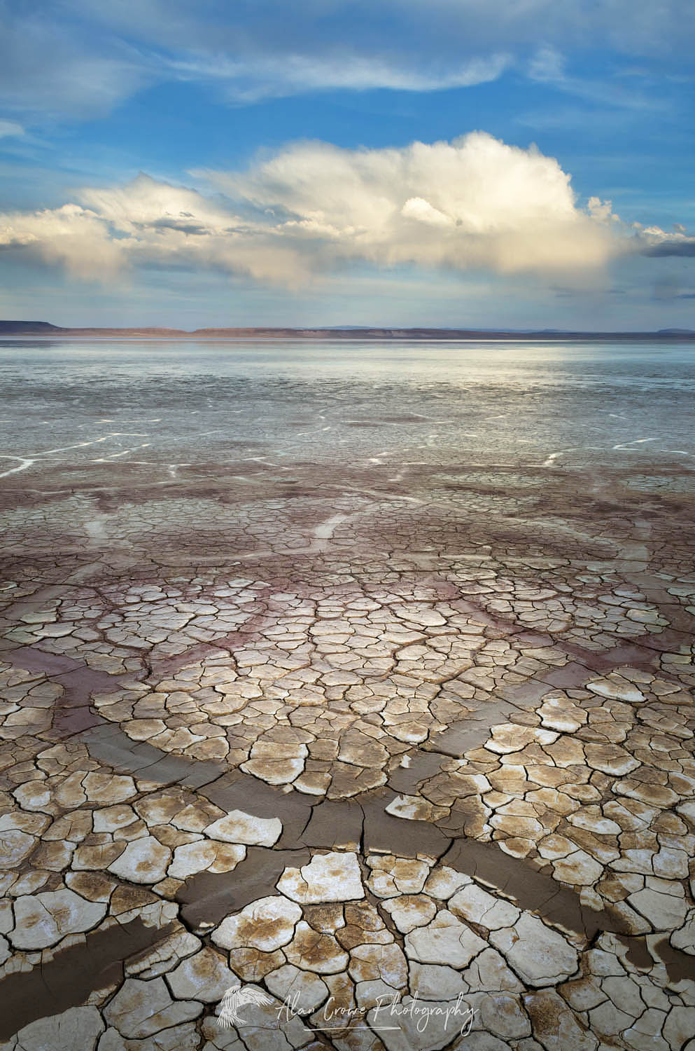 Geometric patterns in drying mud, Alvord Lake, a seasonal shallow alkali lake in Harney County, Oregon #61002