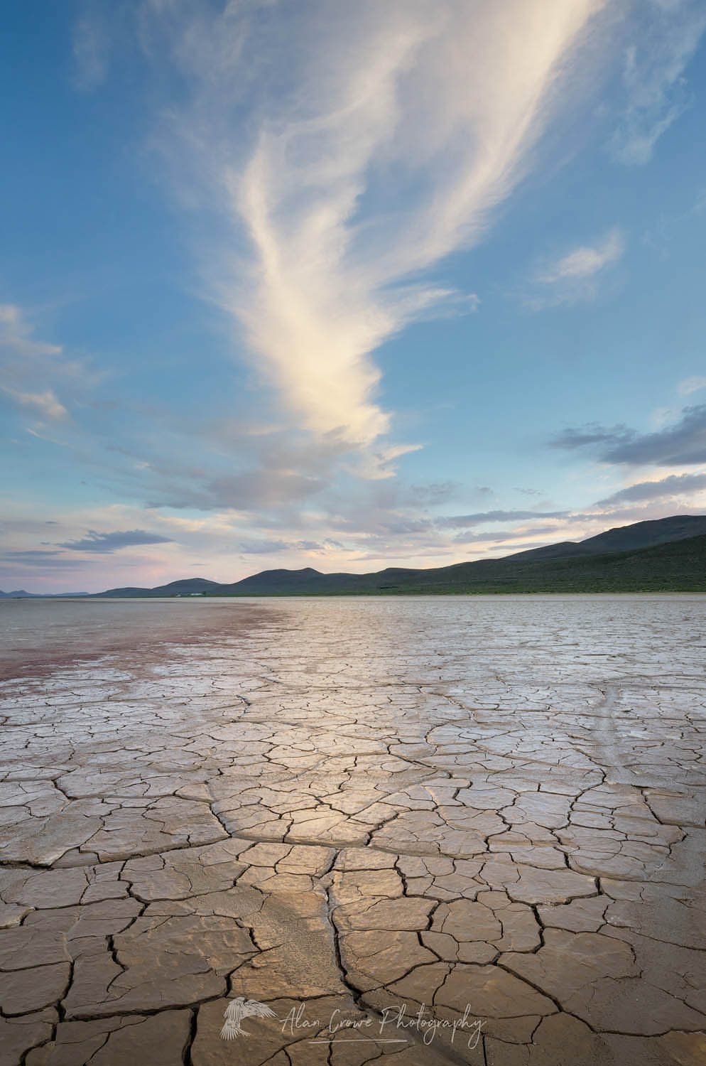 Geometric patterns in drying mud, Alvord Lake, a seasonal shallow alkali lake in Harney County, Oregon #61014