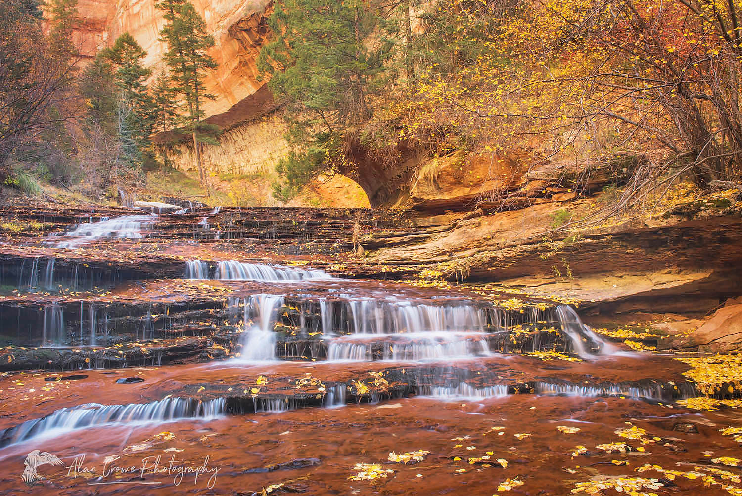 Arch Angel Falls, Left Fork of North Creek, Zion National Park Utah #09739