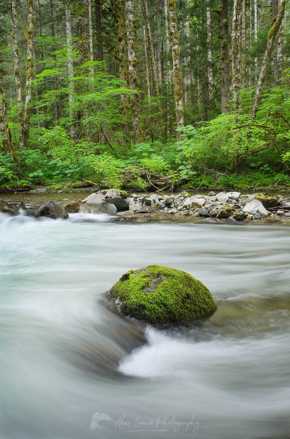 Beckler River, Mount Baker Snoqualmie National Forest Washington #55666