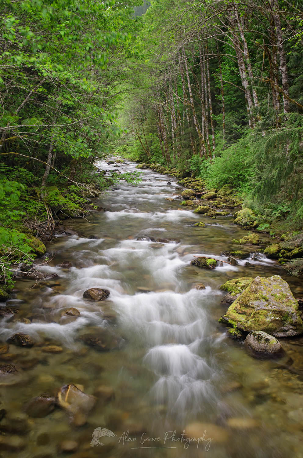 Beckler River, Mount Baker Snoqualmie National Forest Washington #56670