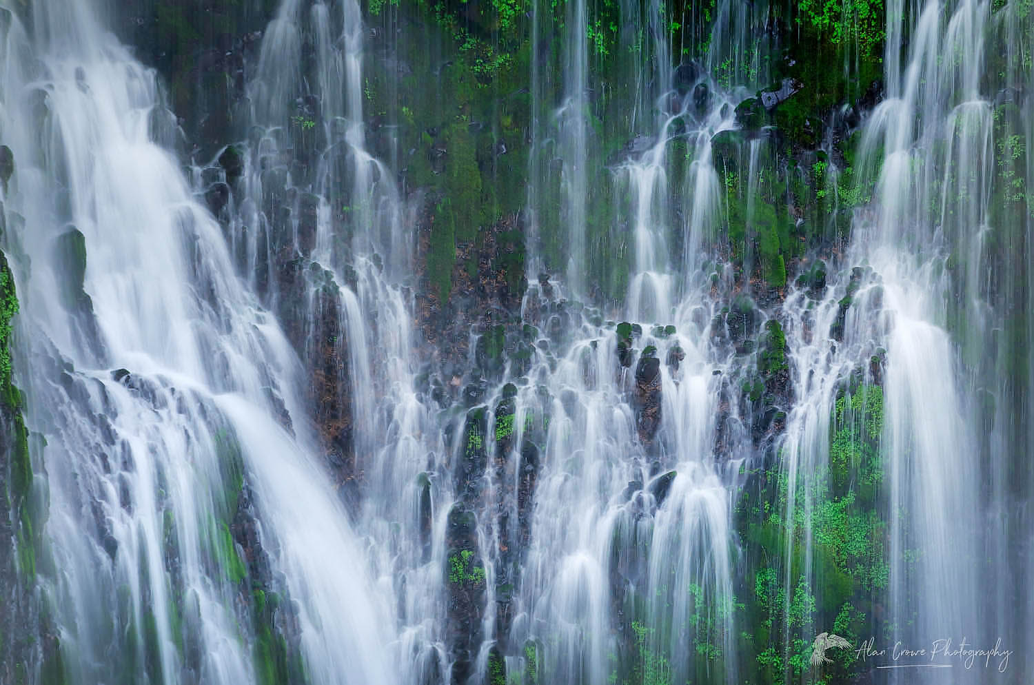 Burney Falls, California #60183