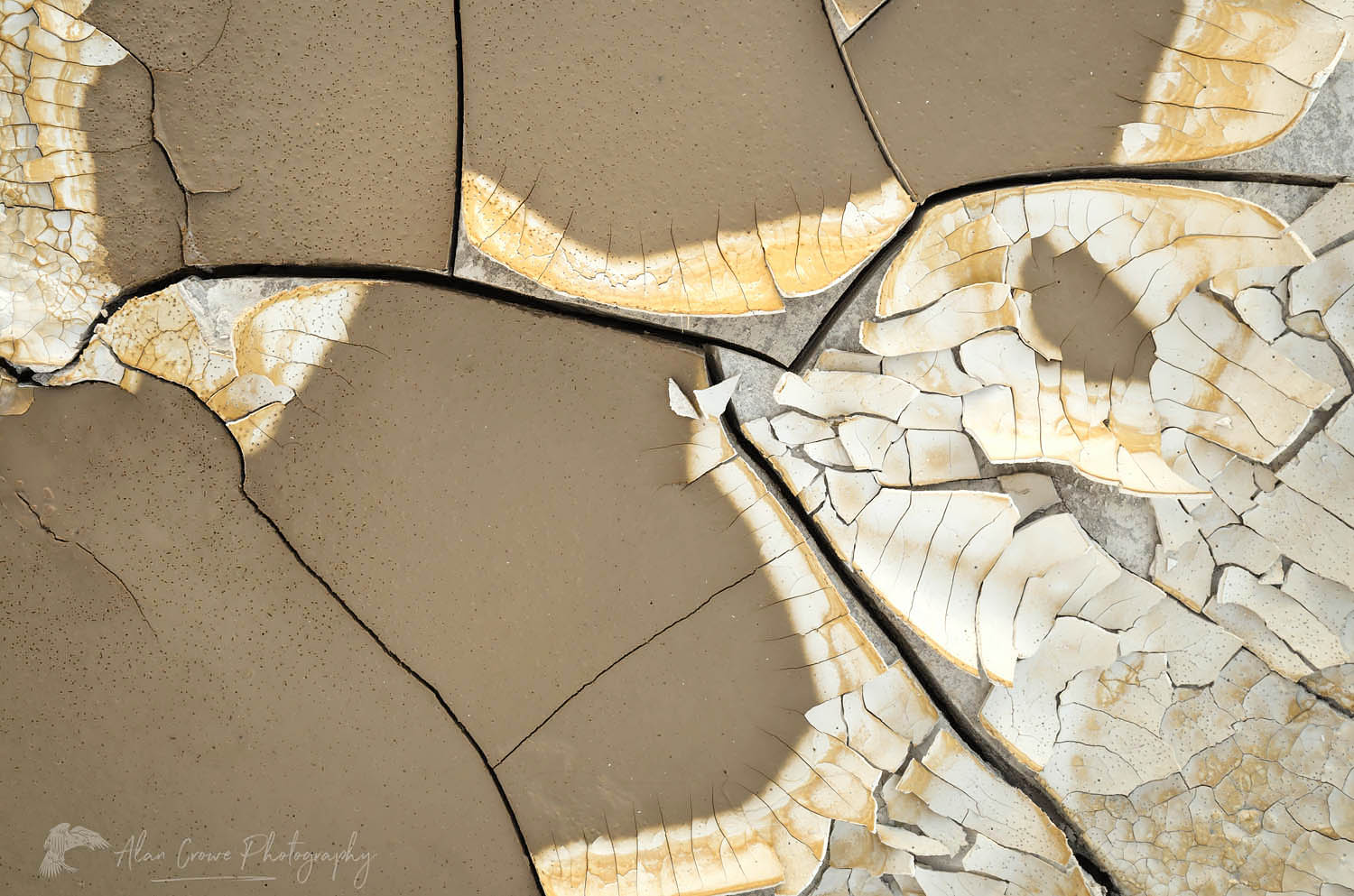 Cracked mud patterns, Alvord Dry Lake Oregon #60995
