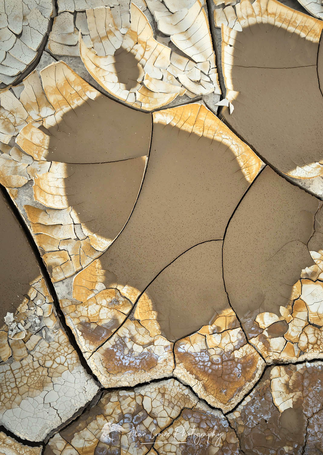 Cracked mud patterns, Alvord Dry Lake Oregon #60996