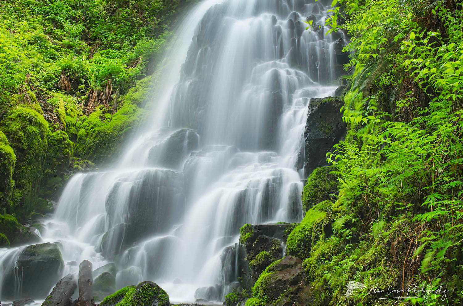 Fairy Falls, Columbia River Gorge National Scenic Area, Oregon #47639