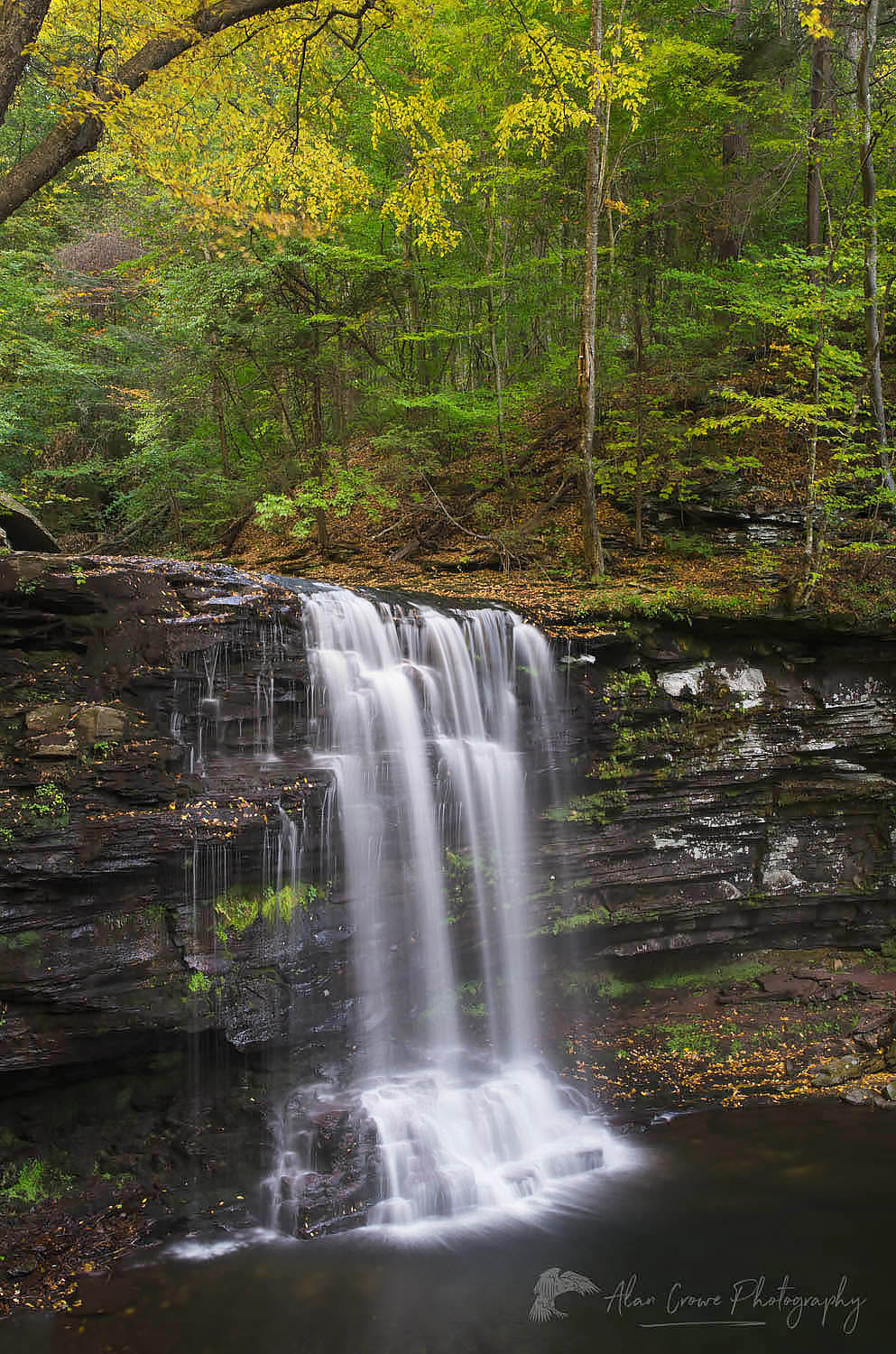 Harrison Wrights Falls, Ricketts Glen State Park, Pennsylvania #59573