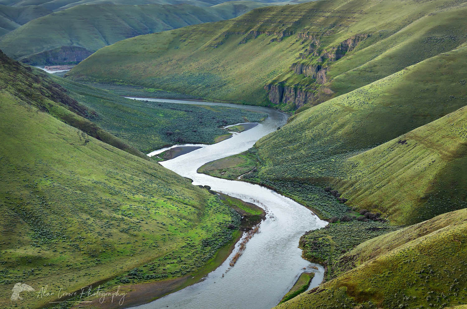 View of John Day River cutting through basalt flows of Columbia Plateau in Sherman/Gilliam County, Oregon #59904