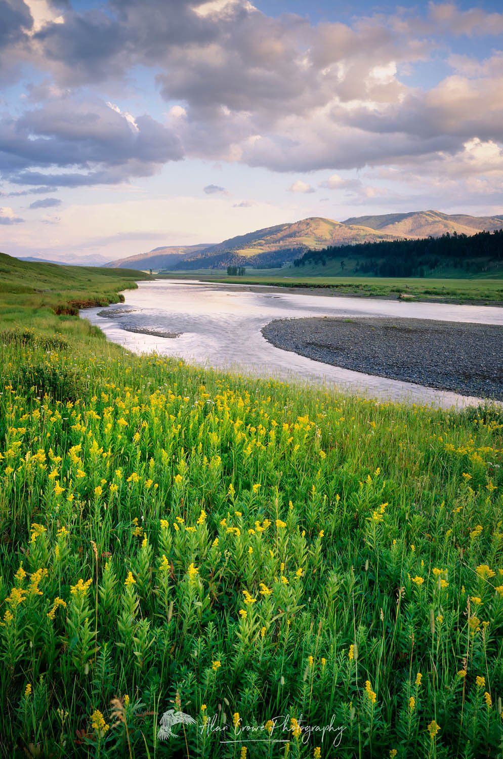 Lamar River, Yellowstone National Park Wyoming #3989