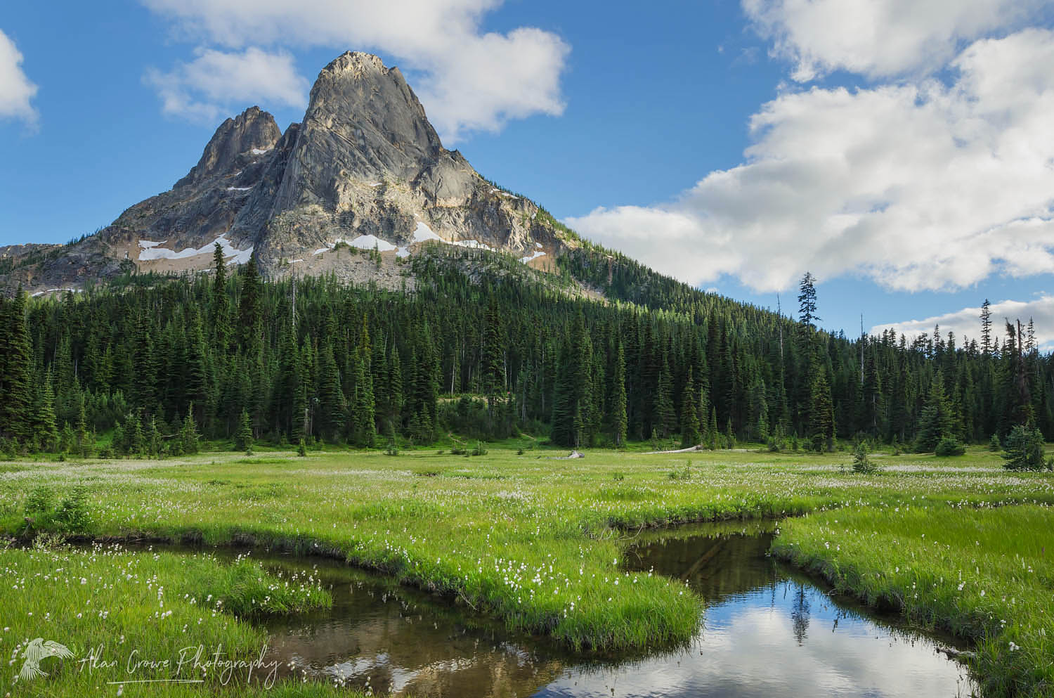 Liberty Bell Mountain reflected in waters of State Creek, Washington Pass meadows, North Cascades Washington #61306