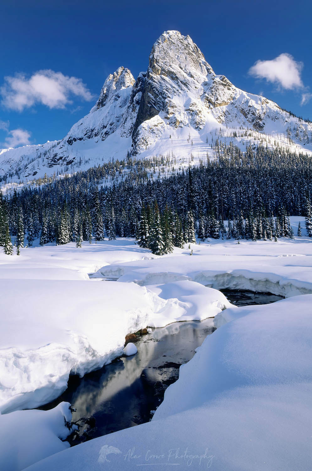 Liberty Bell Mountain from Washington Pass, North Cascades Washington #681