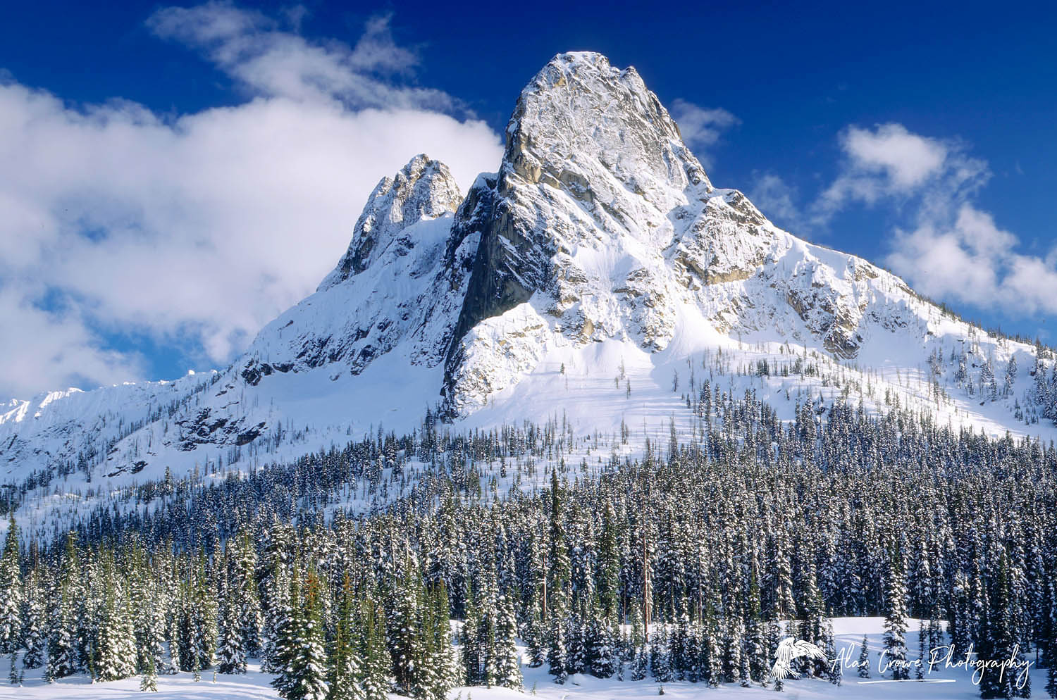 Liberty Bell Mountain from Washington Pass, North Cascades Washington #683b