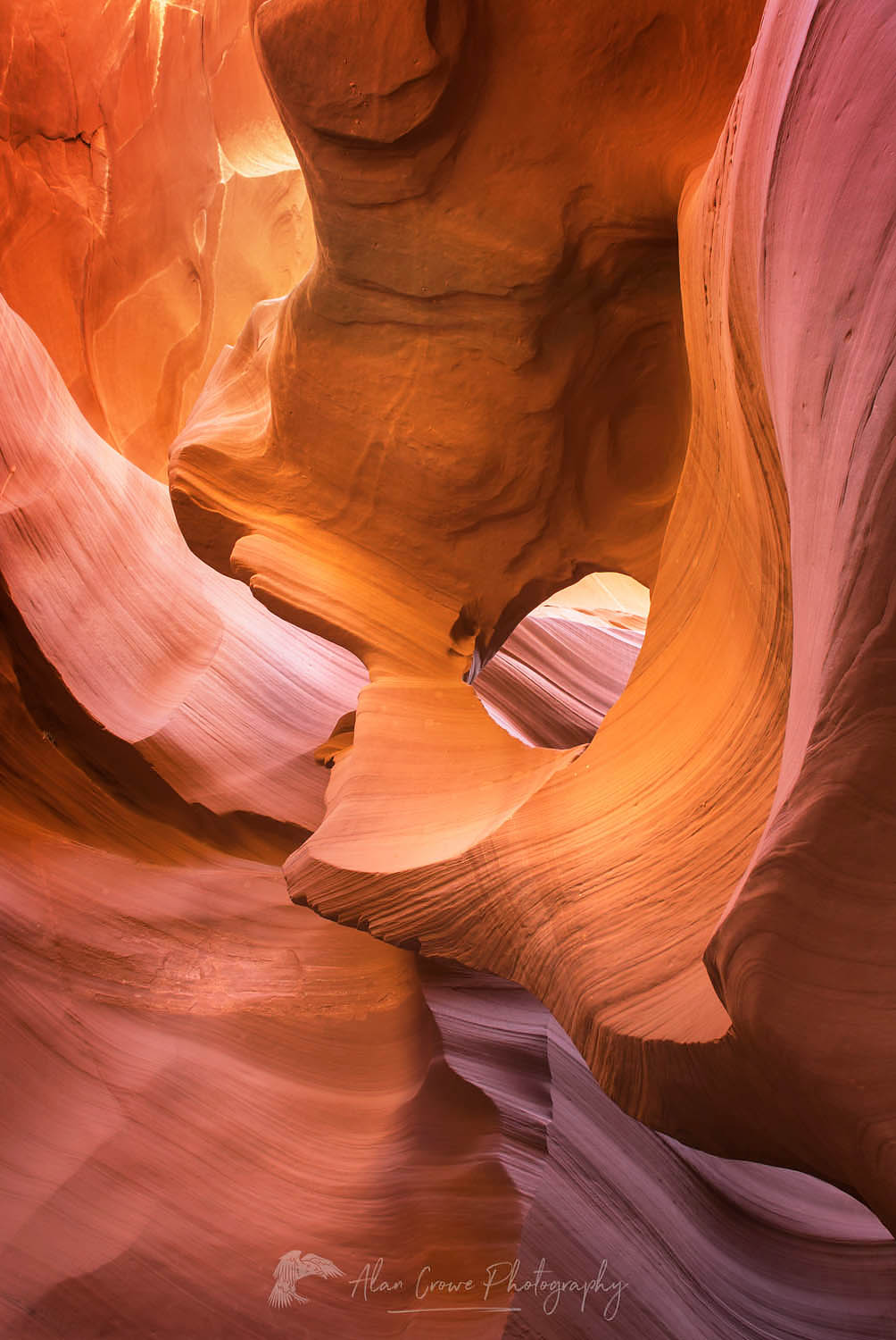 Lower Antelope Canyon, Navajo Nation Arizona #38411