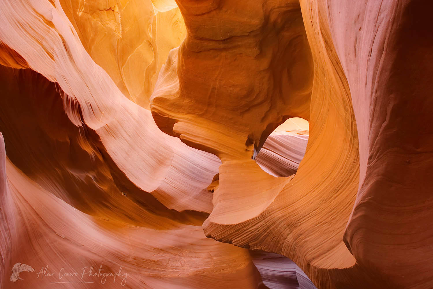 Lower Antelope Canyon, Navajo Nation Arizona #38418