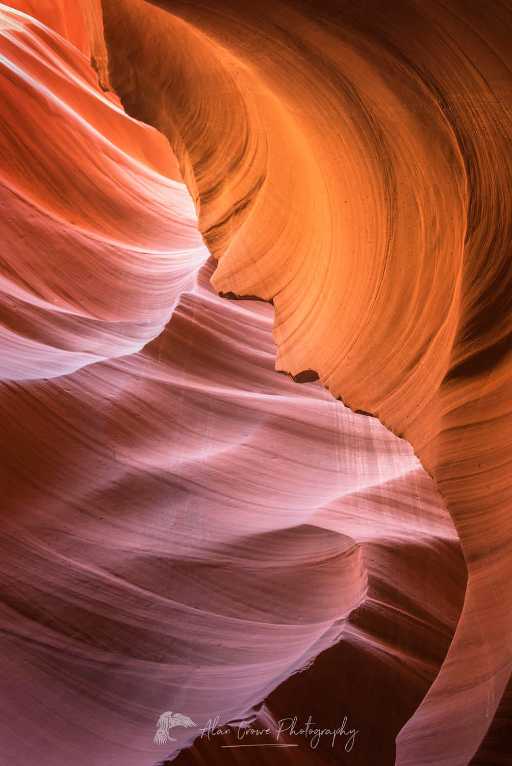 Lower Antelope Canyon, Navajo Nation Arizona #38537