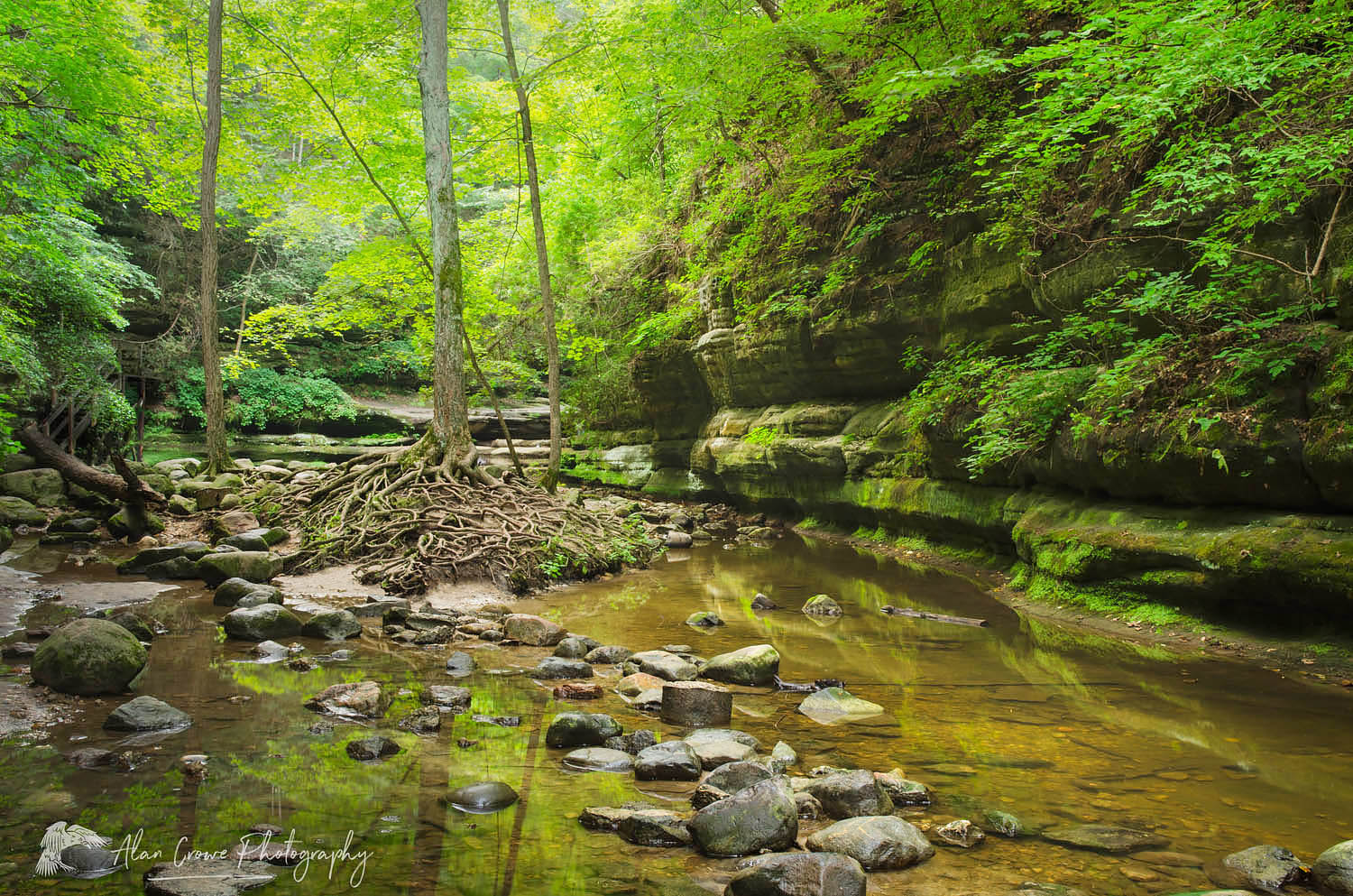 Matthiessen State Park IllinoisCrerek running through Dells area canyon. Matthiessen State Park, LaSalle County, Illinois #63091