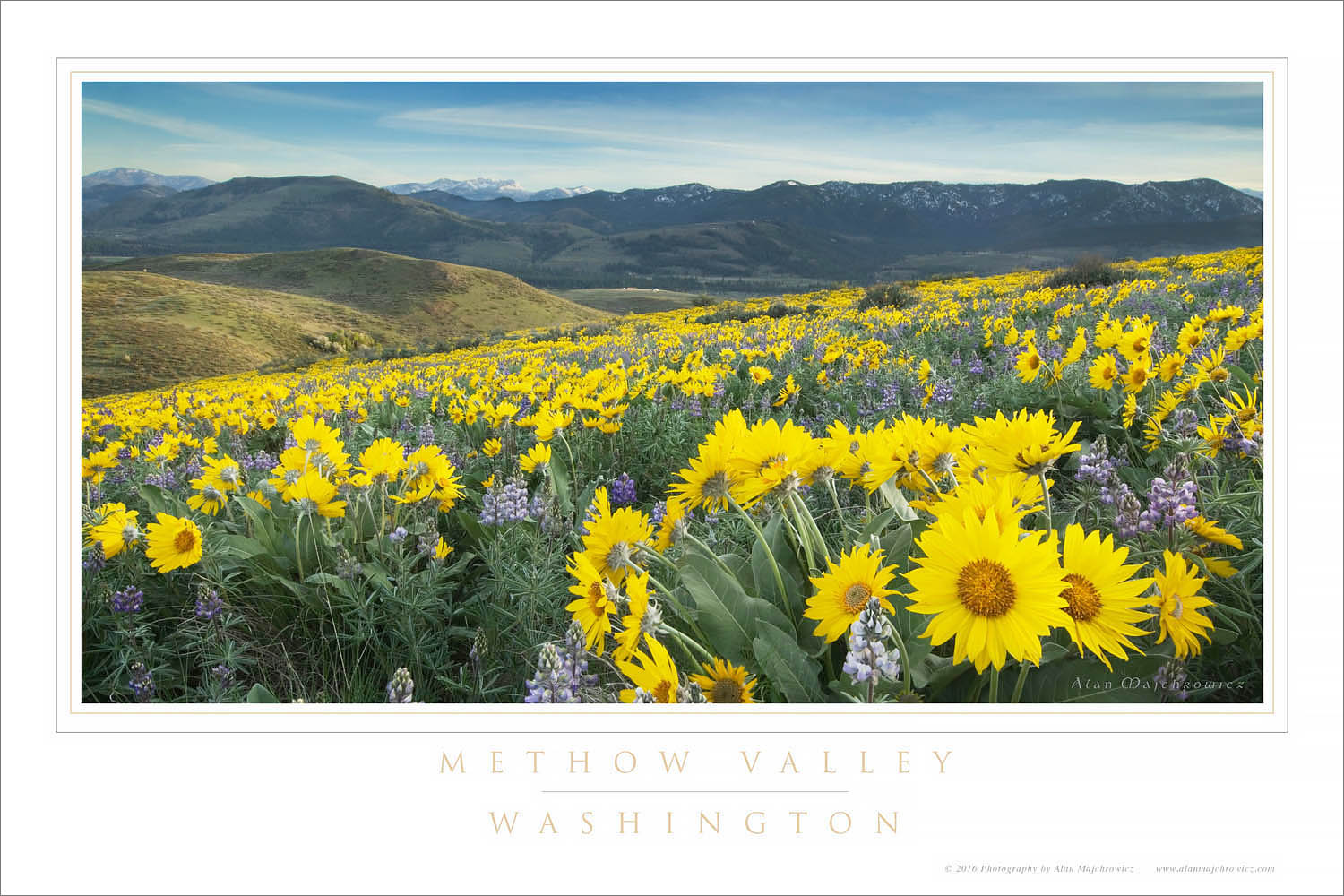 Methow Valley Wildflowers