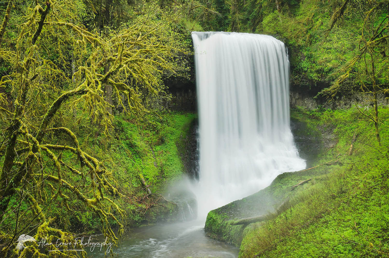 Middle North Falls, Silver Falls State Park, Oregon #47566