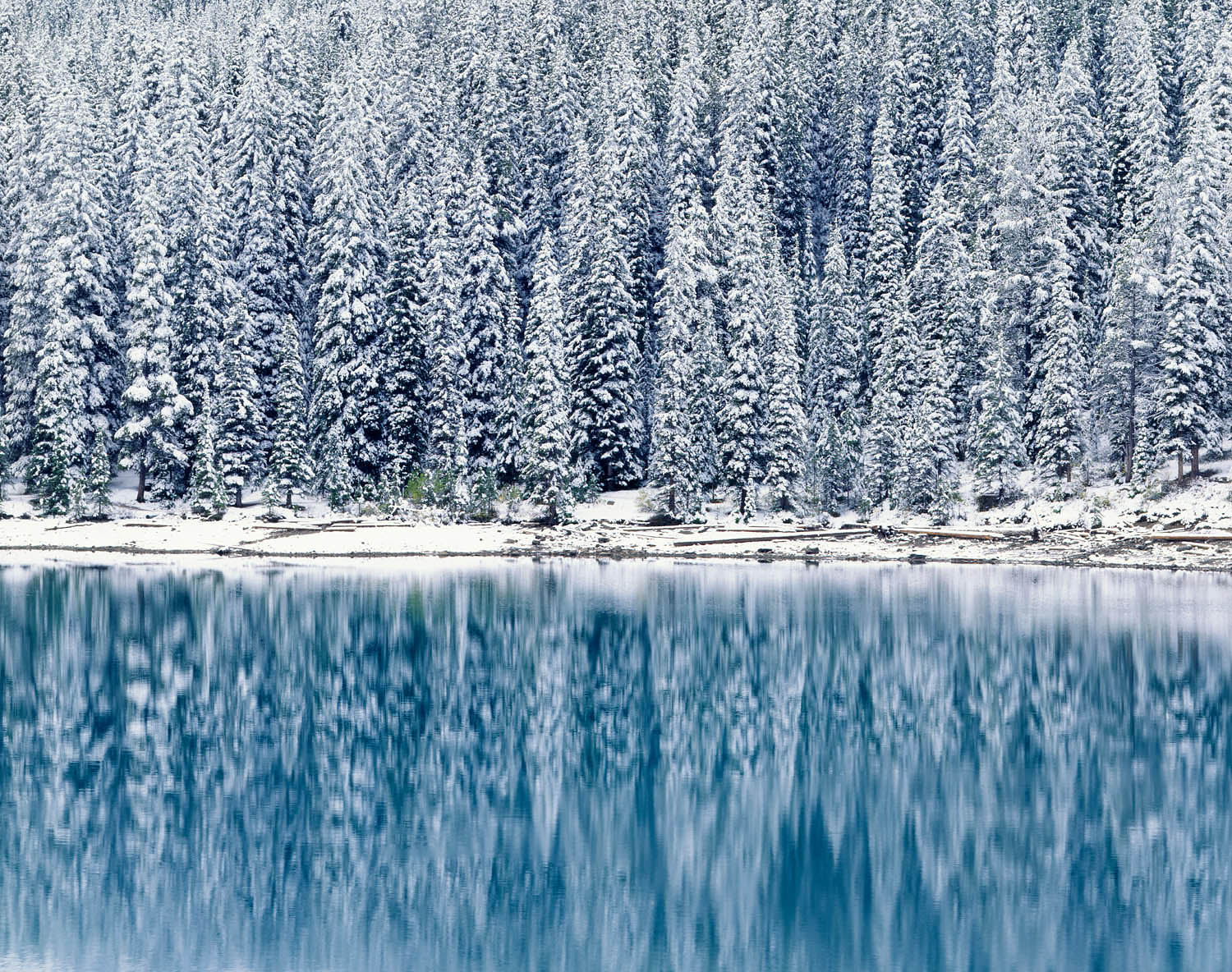 Autumn snowfall on Moraine Lake, Banff National Park Alberta #4103