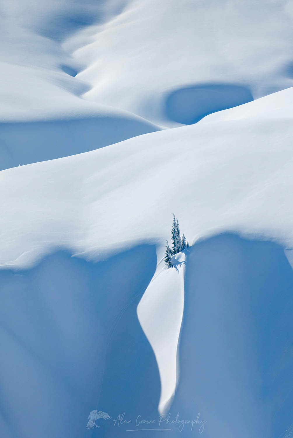 Winter light and shadows creating patterns on snow covered alpine slopes in the Mount Baker Wilderness, North Cascades Washington #23365