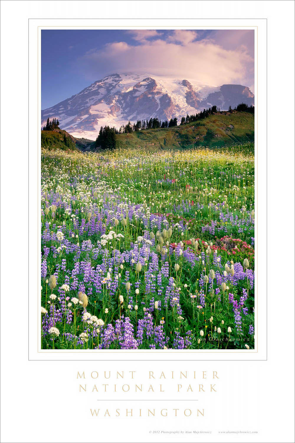 Mount Rainer Wildflowers