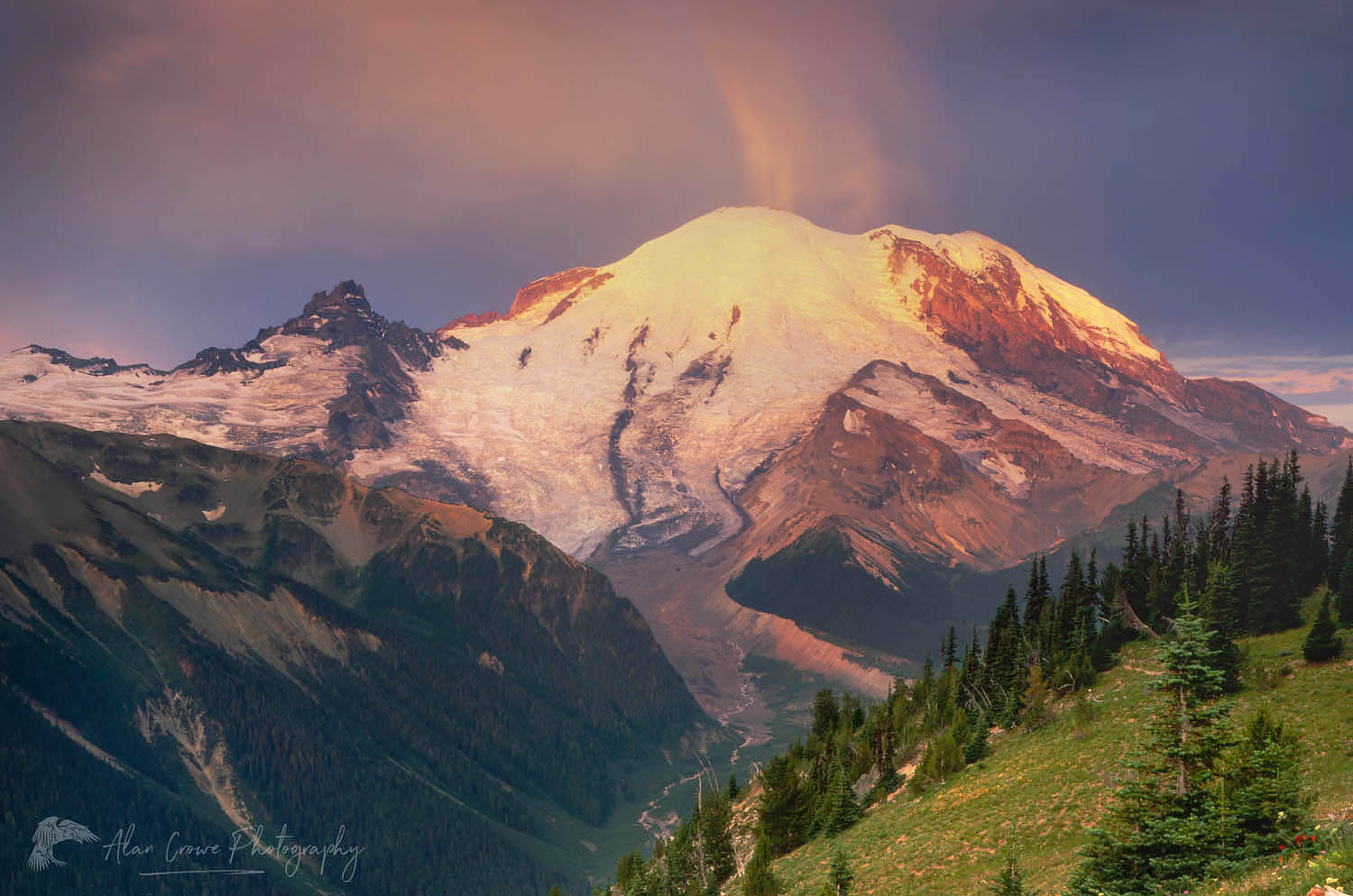 Sunrise on Mount Rainier from Yakima Park, Mount Rainier National Park #3495b