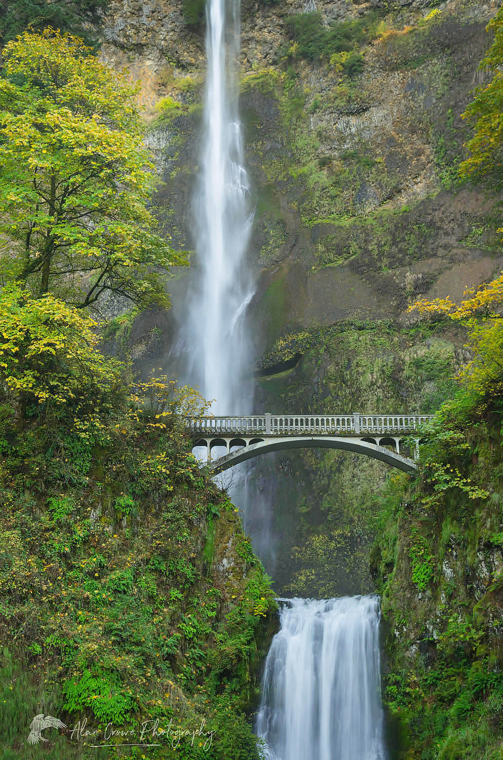 Multnomah Falls Columbia River Gorge National Scenic Area Oregon #46813