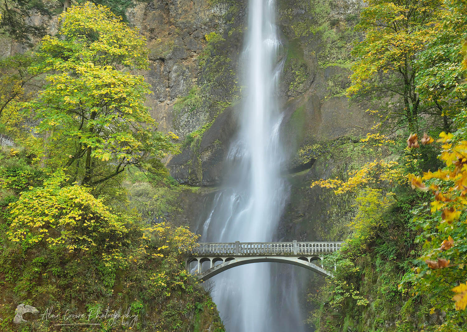 Multnomah Falls Columbia River Gorge National Scenic Area Oregon #46819