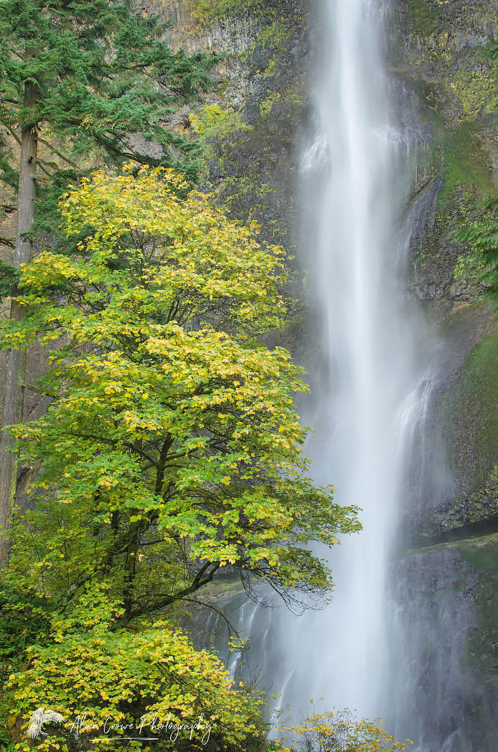 Multnomah Falls Columbia River Gorge National Scenic Area Oregon #46831