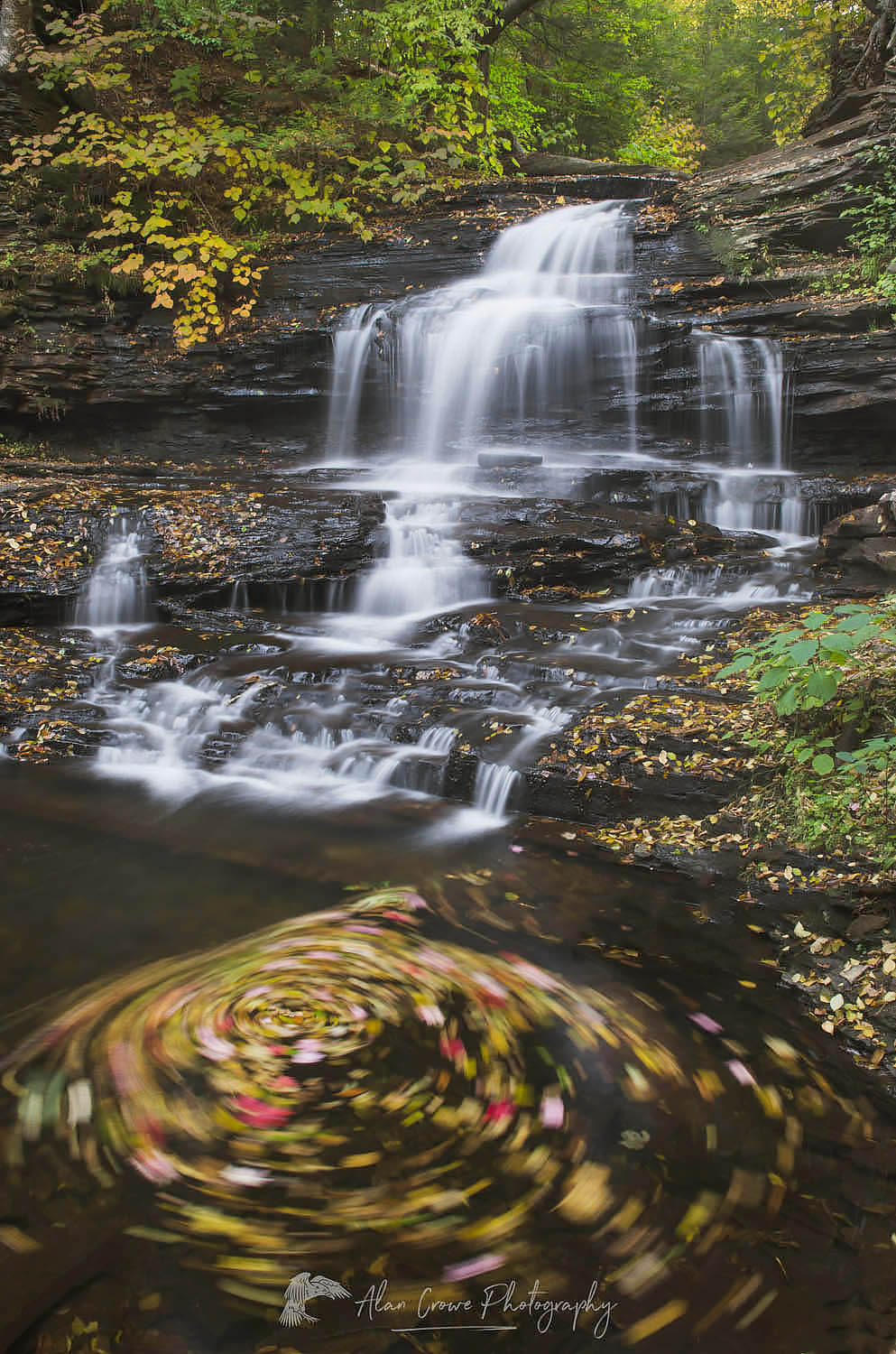 Onondaga Falls, Ricketts Glen Pennsylvania #59528